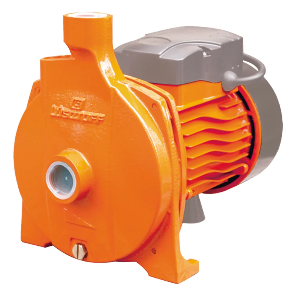 ELECTROBOMBA CENTRIFUGA 1 HP LUSQTOFF CPM158 87 L/M